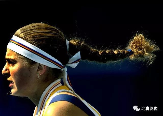 数体育迷的 数体育迷的